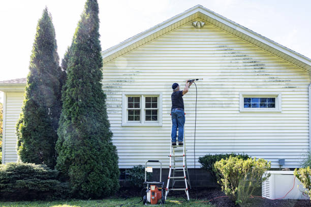 Best Soft Washing for Delicate Surfaces in La Plata, MO
